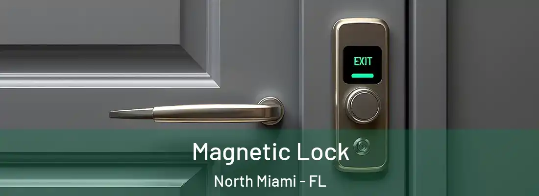  Magnetic Lock North Miami - FL